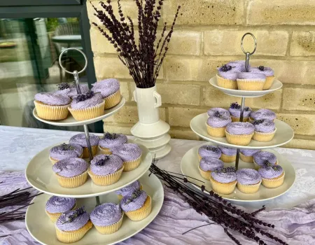 Lavender & Lemonade