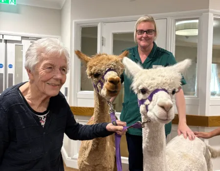 Alpaca visit