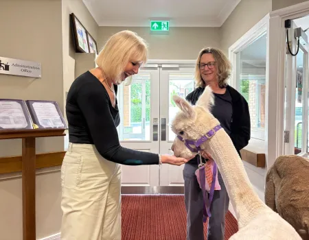 Alpaca visit