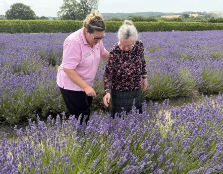 Lavender Fields Outings