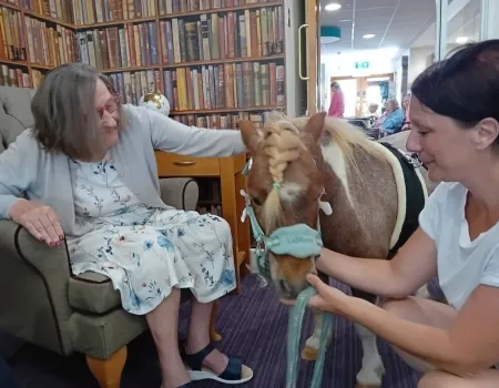 Miniature Ponies