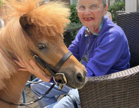 Nutty & Teddy, the Shetland Ponies