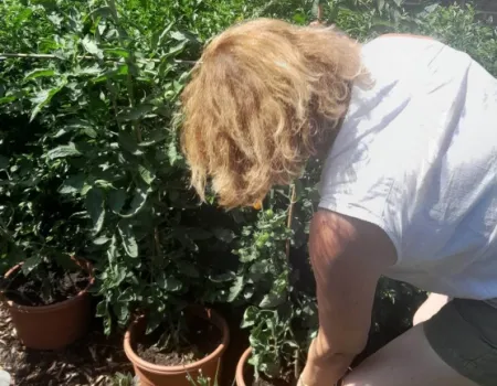Gardening Joys in the Courtyard!