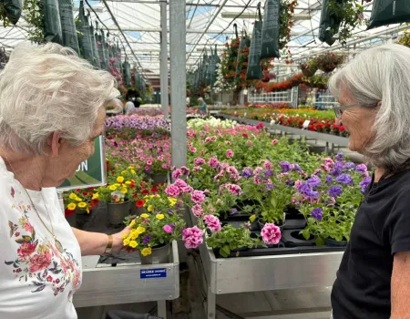 Garden centre visit