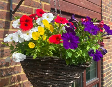 Garden centre trip 