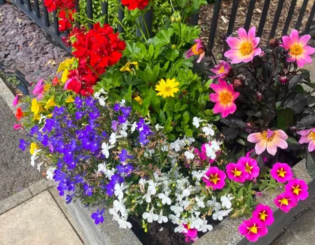 Garden centre trip 