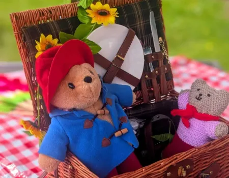 Teddy bear's picnic