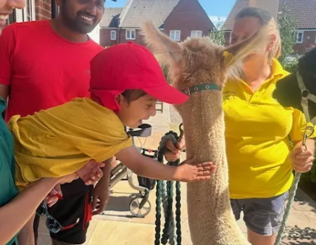 Alpacas visit brings comfort, curiosity and fun!