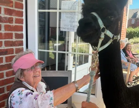Alpacas visit brings comfort, curiosity and fun!