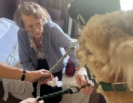Alpacas visit brings comfort, curiosity and fun!