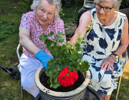 Garden Time