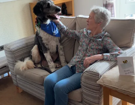 Soft Paws Therapy Dog