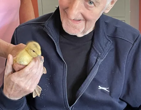 Animal visits