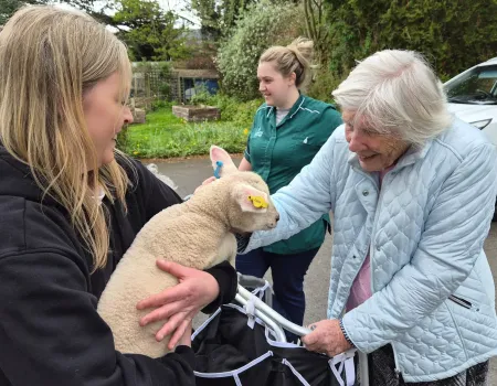 Special Little Visitors at Ross Court