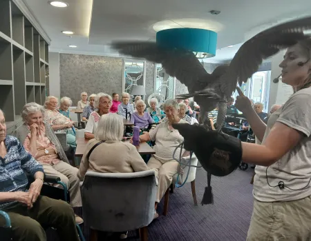 Birds of Prey visit Wilton Place 