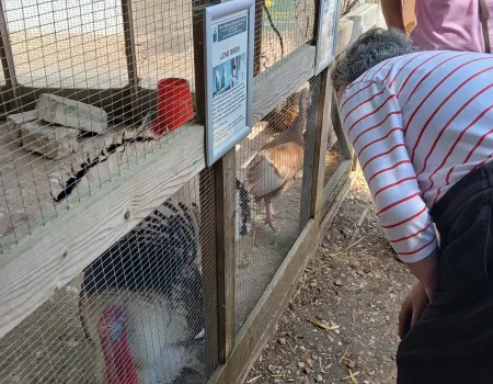 Riverbourne farm trip
