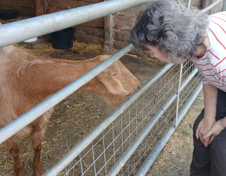 Riverbourne farm trip