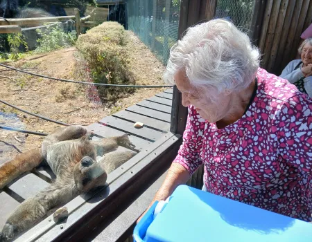 Monkey World bus trip