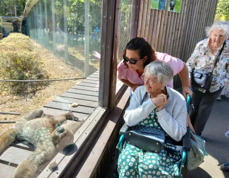 Monkey World bus trip