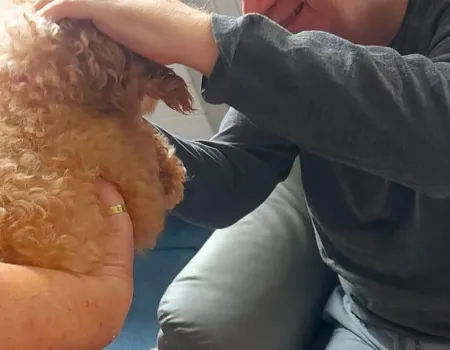 Therapy pet visit