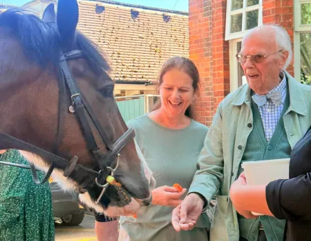 A Wonderful Day of Horse Therapy