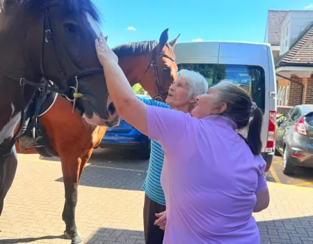 A Wonderful Day of Horse Therapy