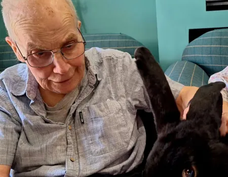 A Day with our Furry Friends