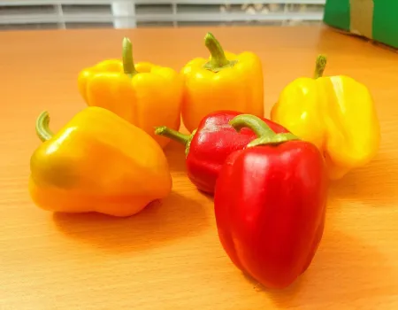 From Seed to Salad!