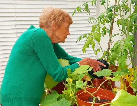 From Seed to Salad!