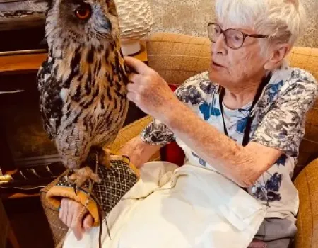 Birds of Prey Visit