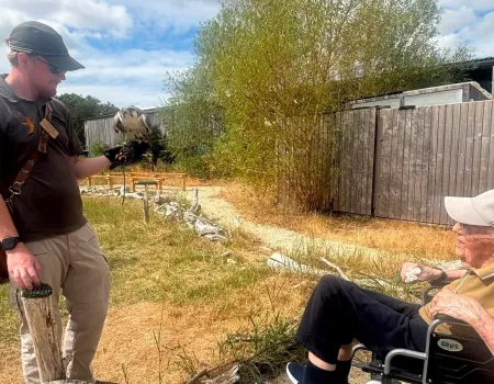 Visit to the Bird of Prey Centre in Newton St. Loe
