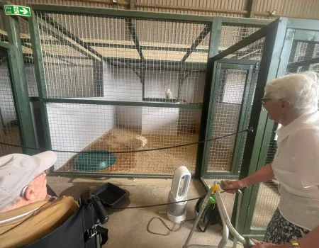 Visit to the Bird of Prey Centre in Newton St. Loe