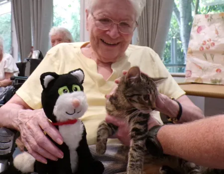 Feline Fantastic 