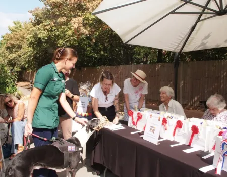 Paws & Community Dog Show