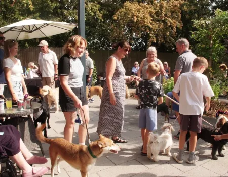 Paws & Community Dog Show