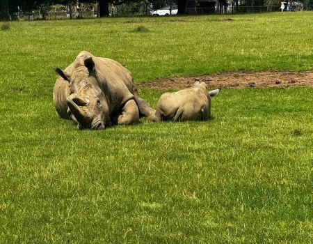A trip to the zoo