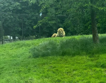 A trip to the zoo