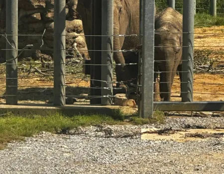 A trip to the zoo