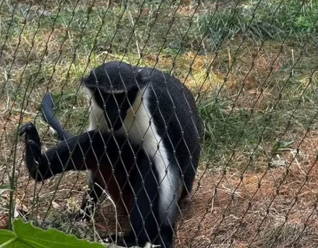 Gentleman’s Day Out at London Zoo!