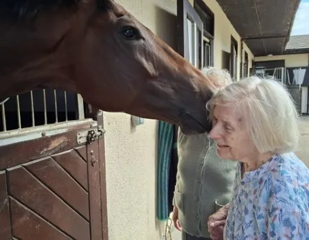 Kings Ride Stables 
