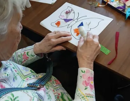 Butterfly crafting and virtual talk