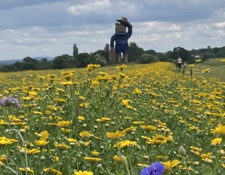 Trip to the ice cream farm