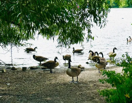 Trip to Aquadrome Park