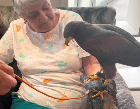 A Visit from Owl Adventures