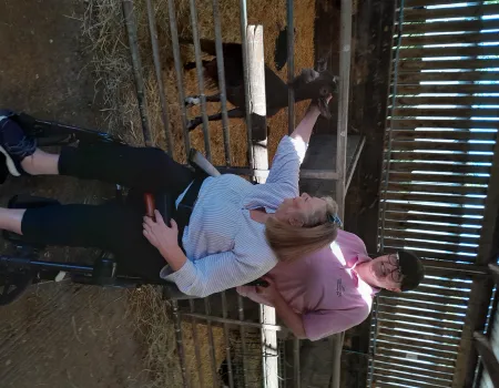 Mabie Farm Park