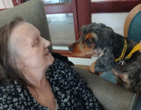 Therapy dog