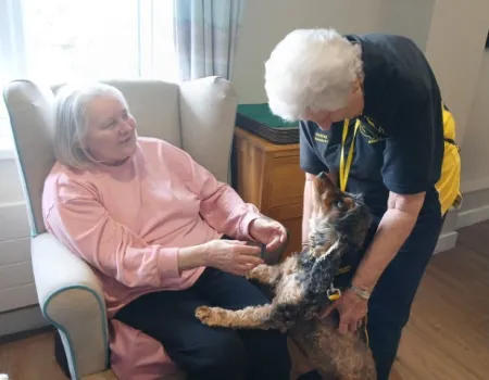 Therapy dog