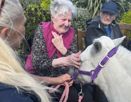 Joyful Ponies Visit 