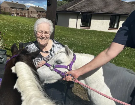 Joyful Ponies Visit 