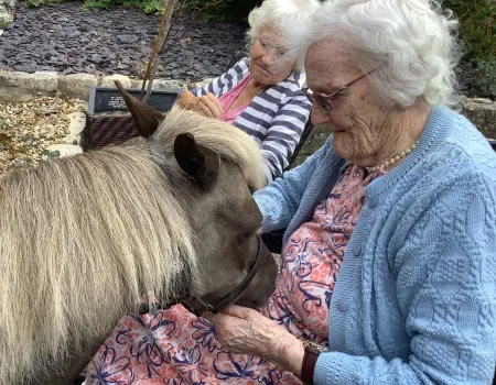 A special visit from Vino the Therapy Pony